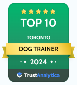 Trust analytics has rated hairy tales as best dog trainer in Toronto.
